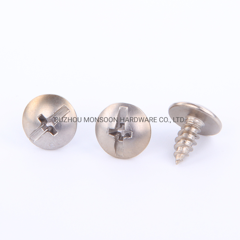 Stainless Steel Pan Head Philips Cross Recessed Self Tapping Screws