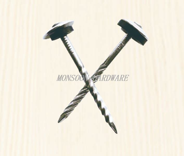 Stainless Steel Roofing Nails