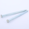 Oval Head Square Shank Nails Boat Nails