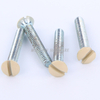 Painted Wall Plate Screws