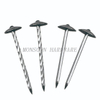 Electroplating Twist Smooth Shank Roofing Nails