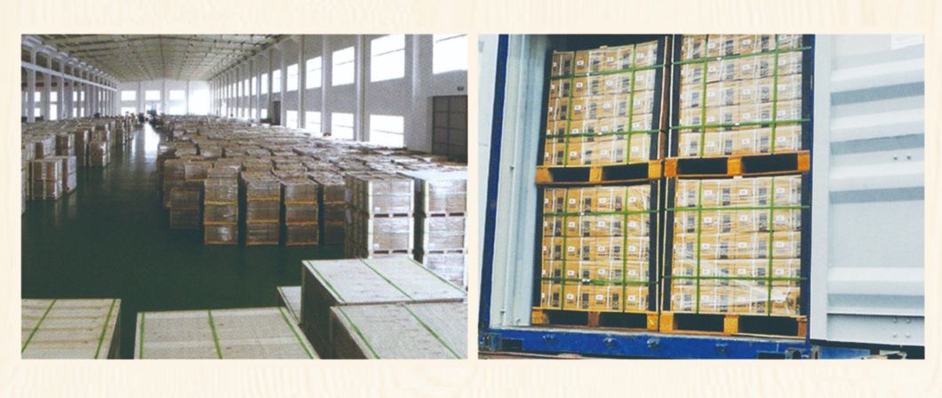 Brass Hexagon Head Bolt Screw