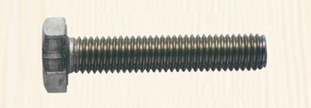 Stainless Steel Hexagonal Head Bolt with Full Thread