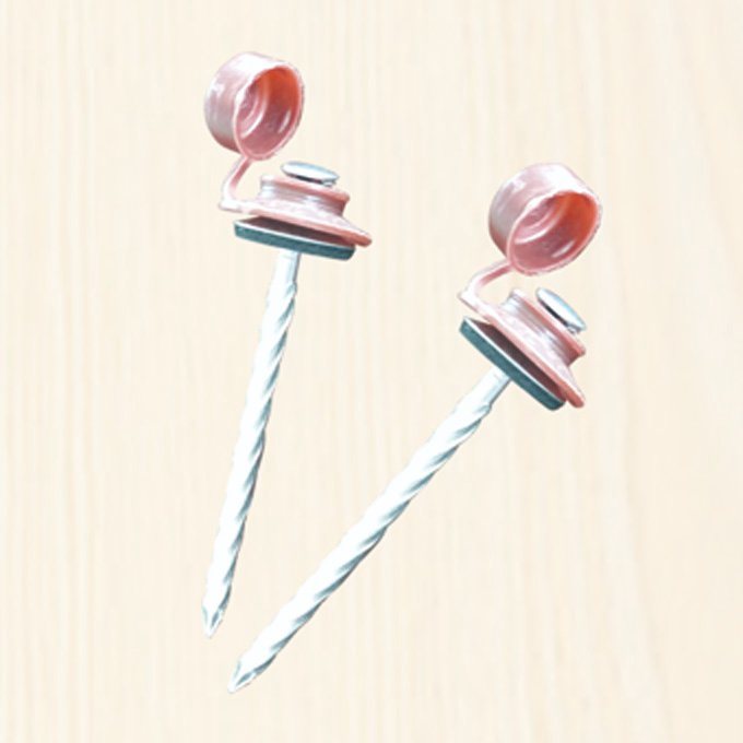 Plastic Cap Twist Shank Nails
