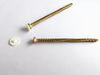 Concrete Screw With Plastic Cap