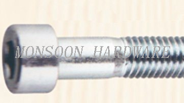 Carbon Steel Hexagonal Socket Head Bolt