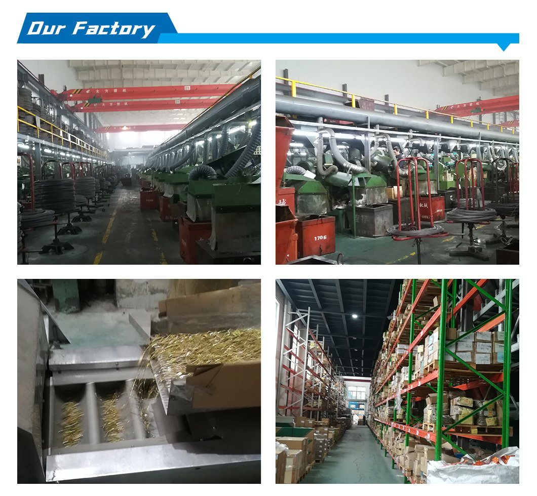 Color Painted Self Tapping Screw