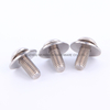 Stainless Steel Pan Head machine Screws
