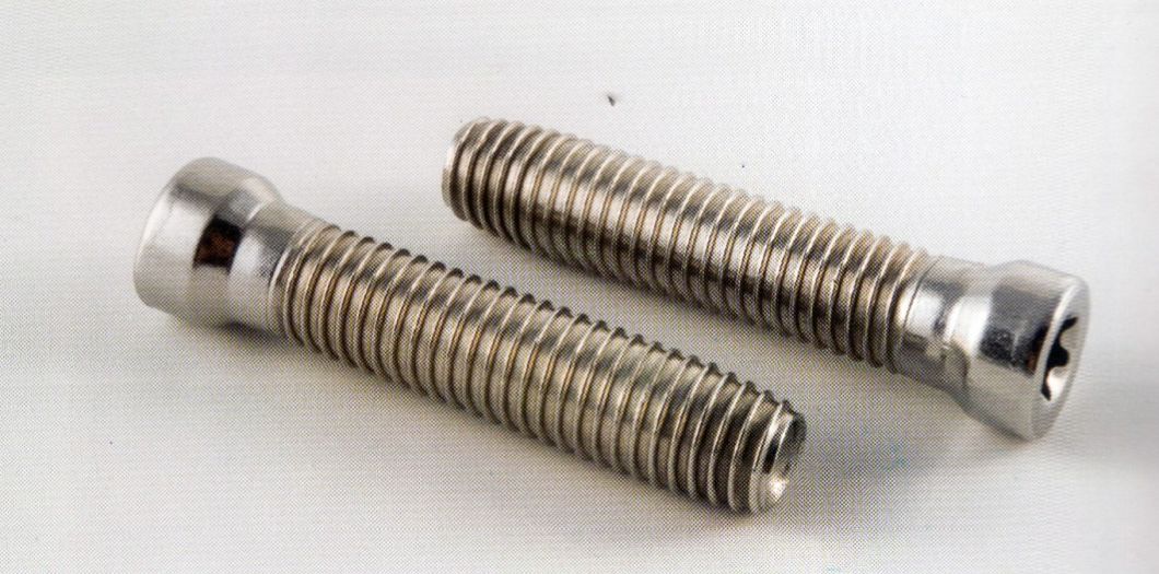 stainless Steel Oval Trox Head Clamp Screw