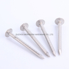 Stainless Steel Flat Head Barbed Shank Clout Nails