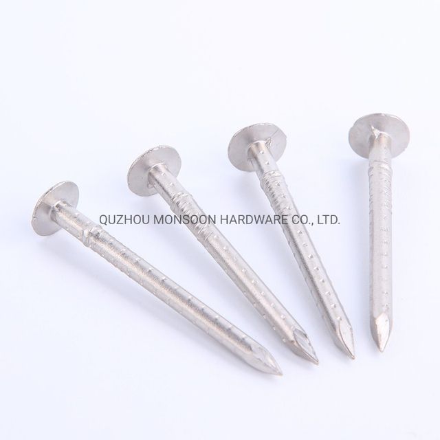 Stainless Steel Flat Head Barbed Shank Clout Nails
