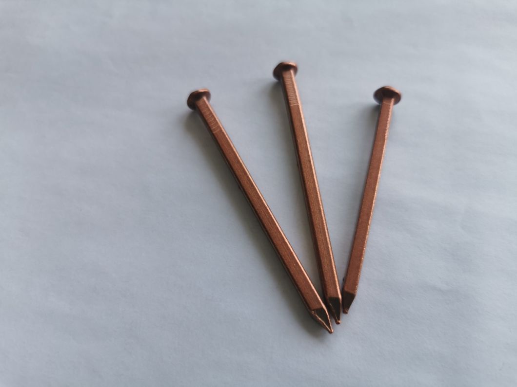Smooth Shank Copper Square Copper Nails