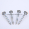 Hot Diping Clout Roofing Nails