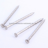 Stainless Steel Convex Head Nails