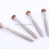 Painted Stainless Steel Decking Screws
