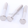 Stainless Steel Hex Head Bolts