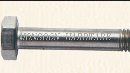 Stainless Steel Hexagonal Head Bolt with Half Thread