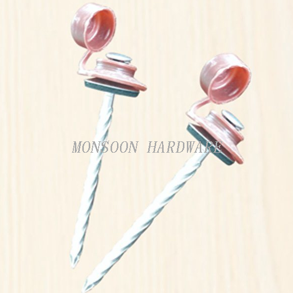 Plastic Cap Twist Shank Nails