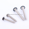 Stainless Steel Pan Head Phillips Screws with Painted Head