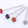 Stainless Steel Colored Plastic Top Nails