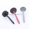 Painting Umbrella Head Roofing Nails with Washer