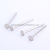 Stainless Steel Flat Head Barbed Shank Clout Nails