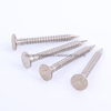 Stainless Steel Plain Checkered Head Clout Nails