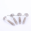 Stainless Steel Mushroom Torx Head Screws with Painted Head