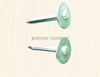 Vertical Thread Washer Nails