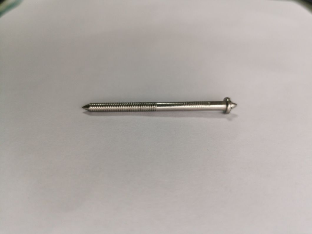 Stainless Steel Special Head Annular Nails