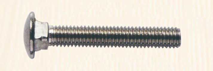 Stainless Steel Carriage Bolt with Mushroom Head&Square Neck