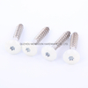 Stainless Steel Mushroom Torx Head Screws with Painted Head