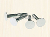 Stainless Steel Clout Nails