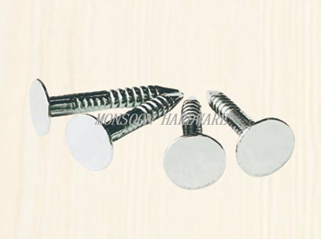 Stainless Steel Clout Nails