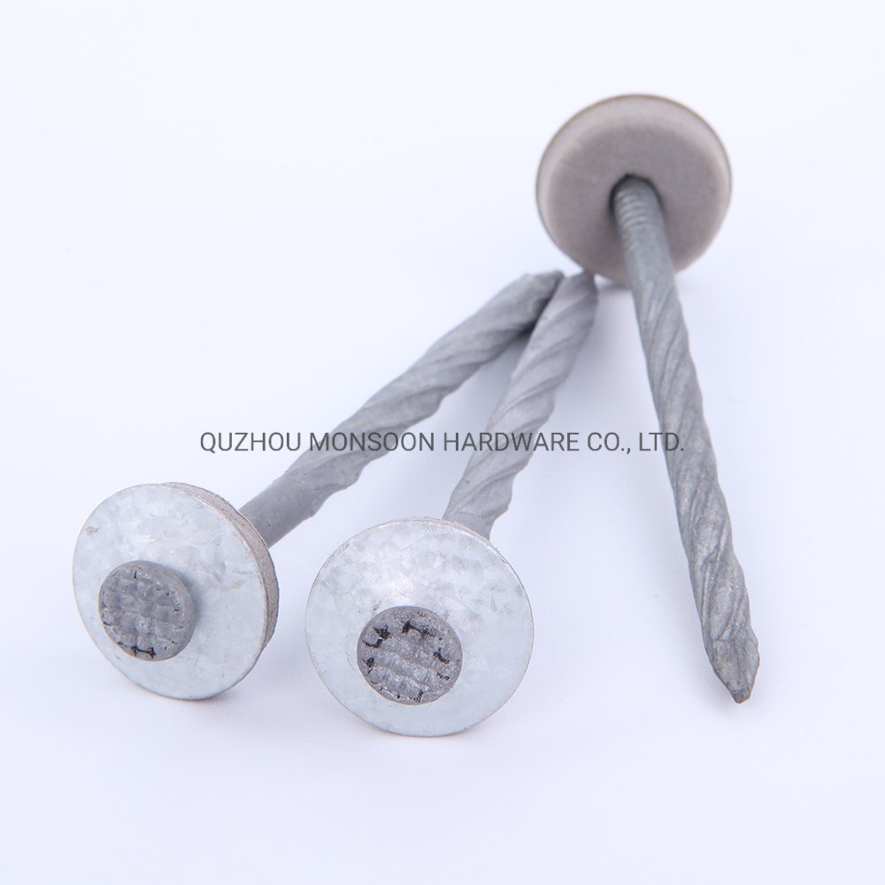 Umbrella Head Hot Dipped Roofing Nails with Washers