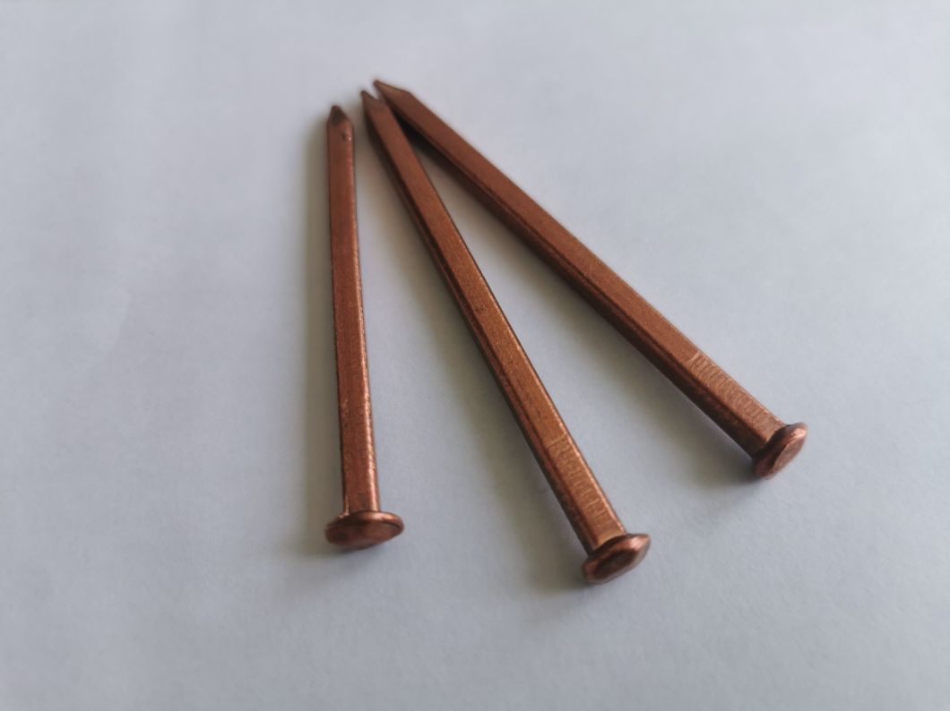 Smooth Shank Copper Square Copper Nails