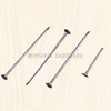 Common Round Iron Wire Nials