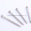 Stainless Steel Convex Head Nails