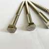 Stainless Steel Hex Head Coach Screw