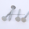 Hot Diping Clout Roofing Nails