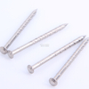 Stainless Steel Rose Head Rolled Screw Nails