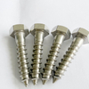 Stainless Steel Hex Head Coach Screw