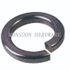 Stainless Steel Spring Washer