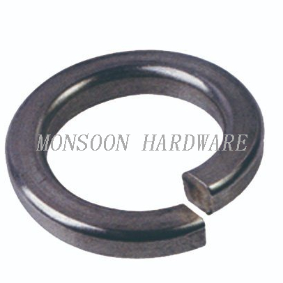 Stainless Steel Spring Washer