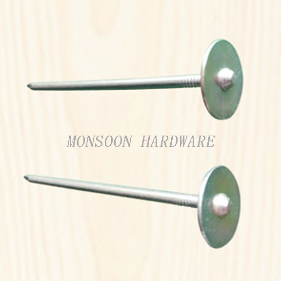 Long Fixed Round Cap Washer Nails