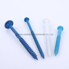 Color Painted Self Tapping Screw