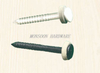Oval Head Painted Ring Shank Nails