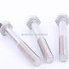 Stainless Steel Hex Head Bolts