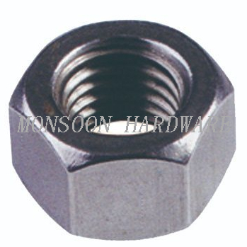 Stainless Steel Hexagonal Machine Screw Nut