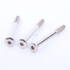 Stainless Steel Hex Socket Head Lag Screws